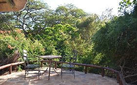 Moholoholo Forest Camp
